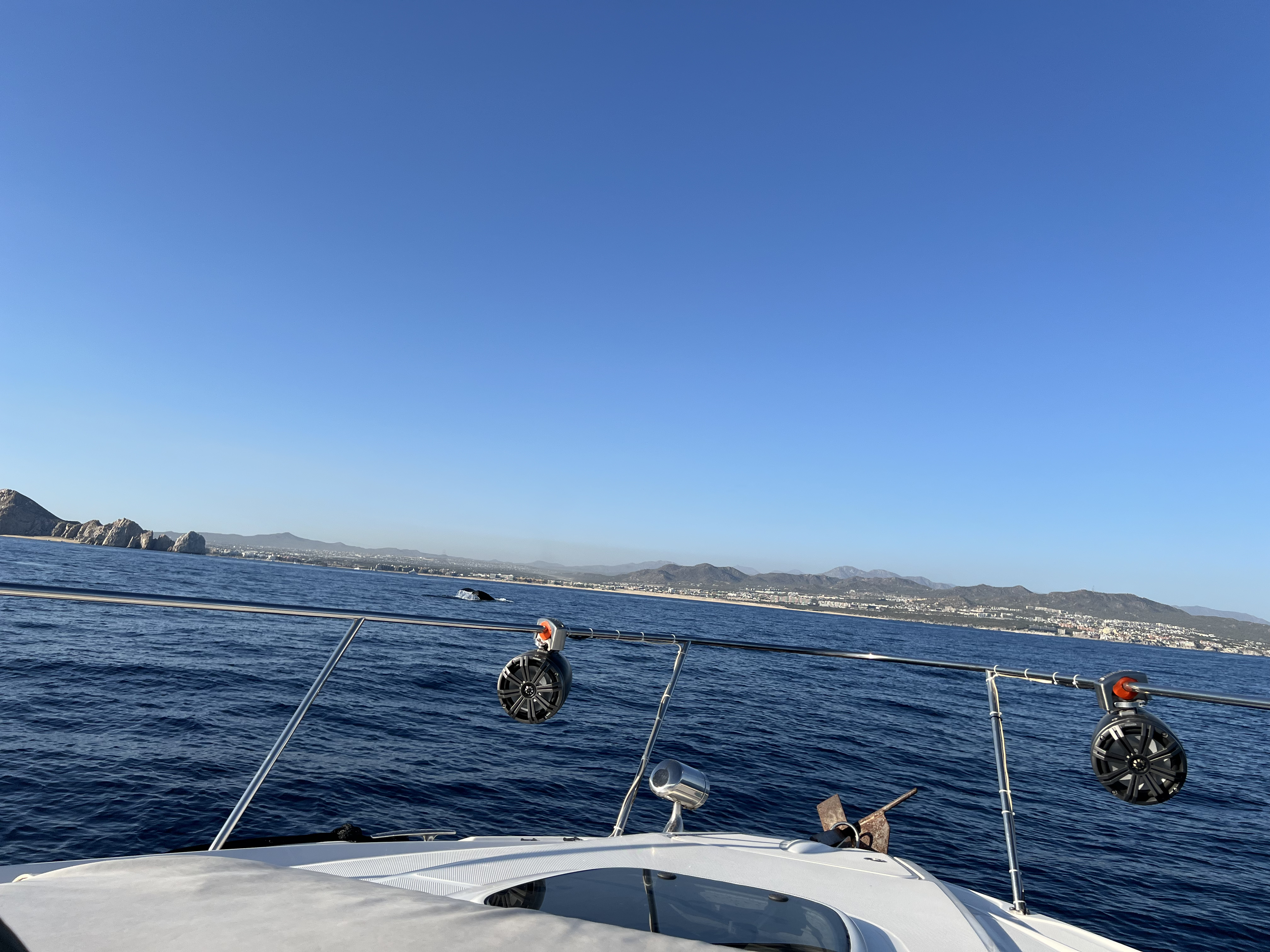 ./2024/13 - Cabo/IMG_4709.jpg